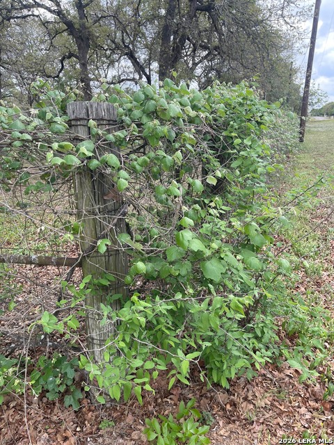 Image 40 of 51 For 135 Pullman  