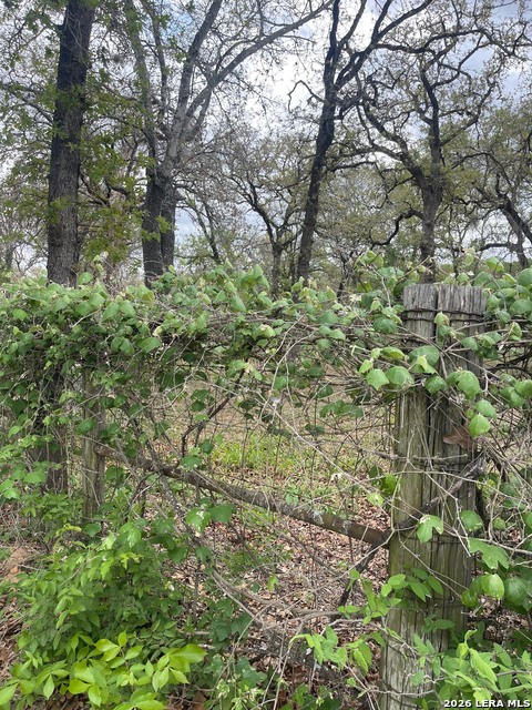 Image 41 of 51 For 135 Pullman  