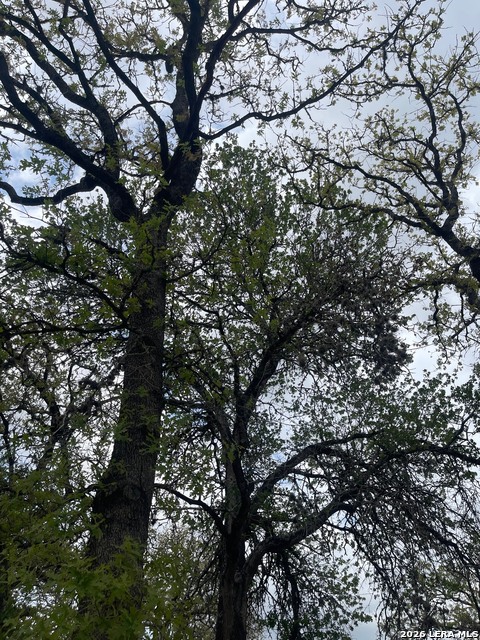 Image 42 of 51 For 135 Pullman  