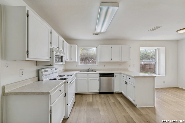 Image 10 of 25 For 1218 Lion Frst