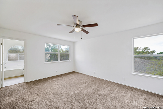 Image 12 of 25 For 1218 Lion Frst