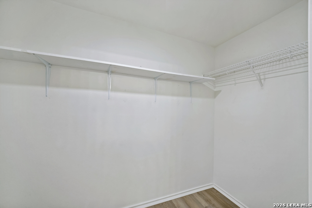 Image 19 of 25 For 1218 Lion Frst