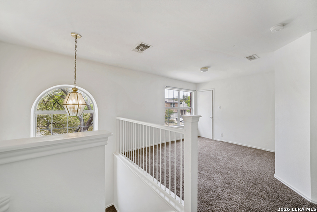 Image 20 of 25 For 1218 Lion Frst