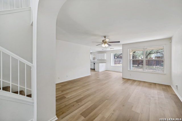 Image 5 of 25 For 1218 Lion Frst