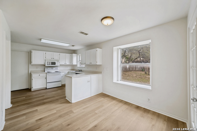 Image 8 of 25 For 1218 Lion Frst