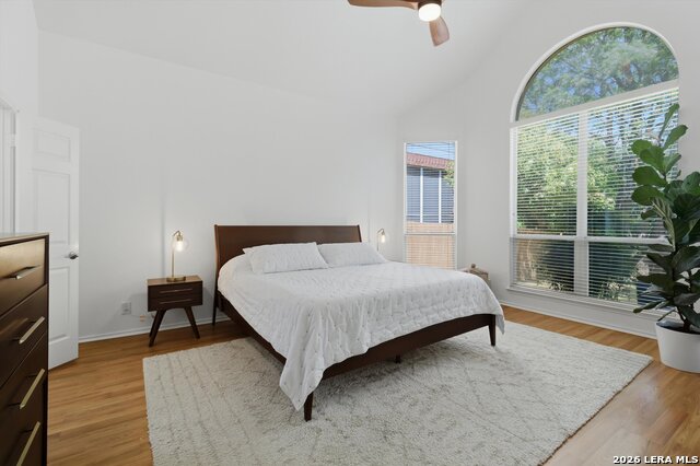 Image 20 of 35 For 19534 Azure Oak