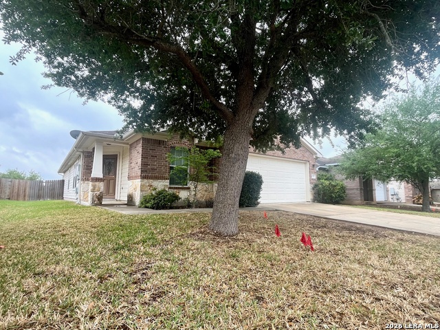 Image 2 of 24 For 225 Brahma Way