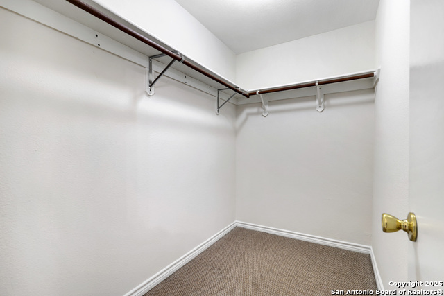 Image 18 of 27 For 10023 Vasso Vw  1