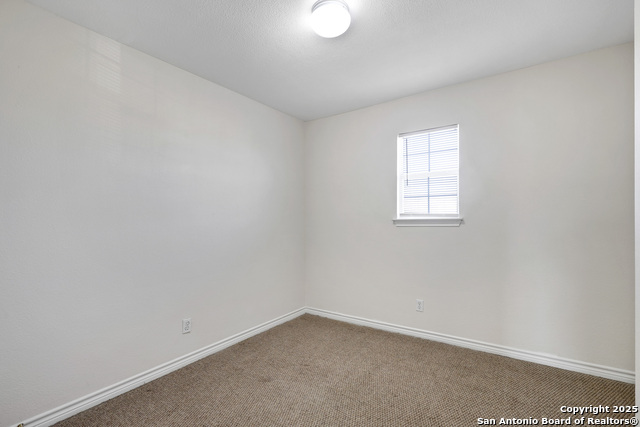 Image 19 of 27 For 10023 Vasso Vw  1