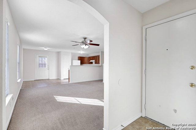 Image 3 of 27 For 10023 Vasso Vw  1