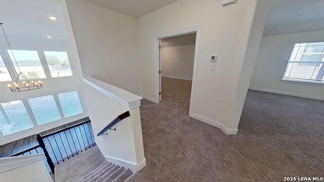 Image 37 of 50 For 1614 Kosmas Dr