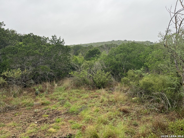 Image 5 of 8 For 111 Pr 3325  