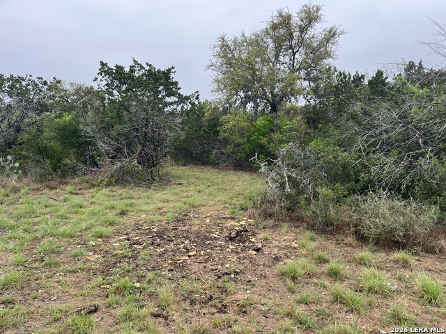 Image 7 of 8 For 111 Pr 3325  