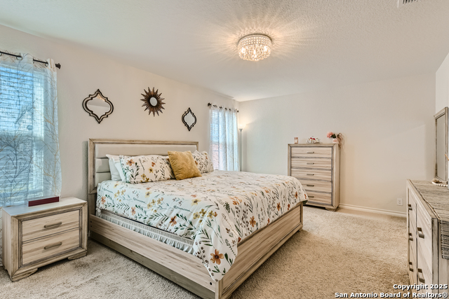 Image 14 of 44 For 13322 Silky Rye