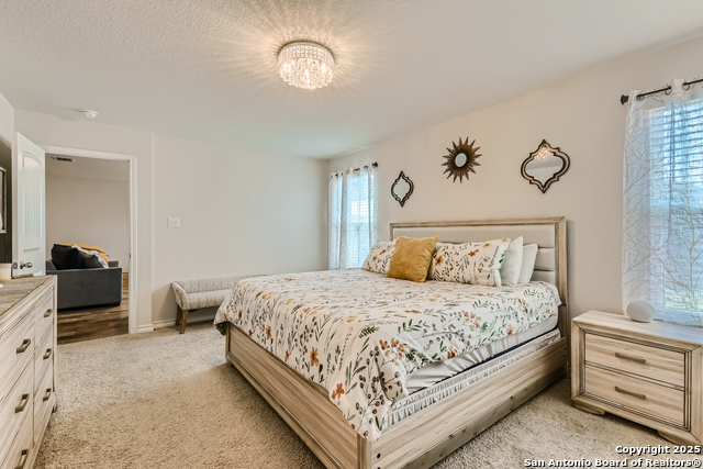 Image 15 of 44 For 13322 Silky Rye