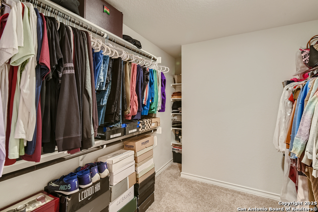 Image 18 of 44 For 13322 Silky Rye