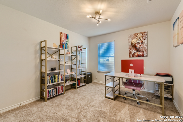 Image 19 of 44 For 13322 Silky Rye