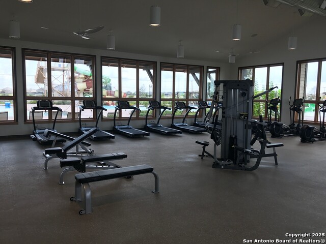 Image 35 of 44 For 13322 Silky Rye