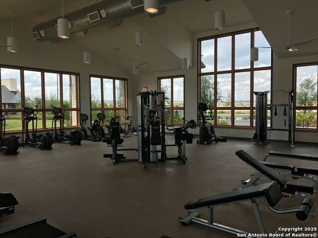 Image 36 of 44 For 13322 Silky Rye