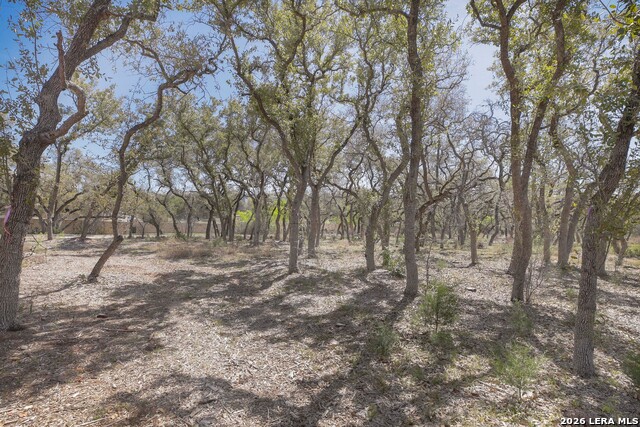 Image 11 of 13 For 79 Percival  