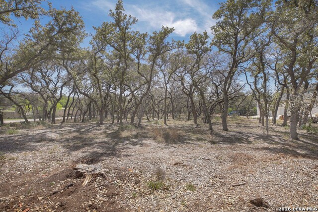 Image 12 of 13 For 79 Percival  