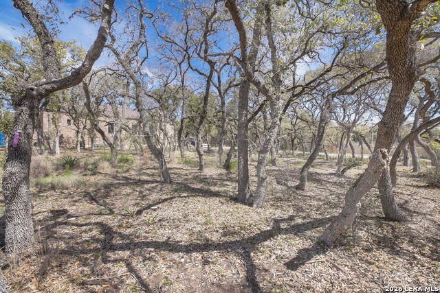 Image 7 of 13 For 79 Percival  