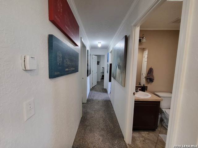 Listing photo id 31 for 25216 Campbellton Rd