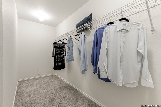 Image 19 of 31 For 3513 Tilden Trl