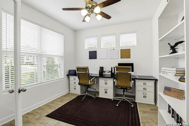 Image 4 of 25 For 361 Rhapsody