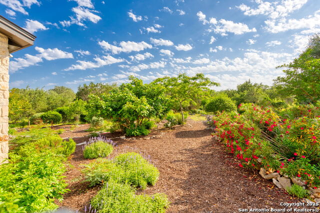 Image 41 of 47 For 1257 Magnum  