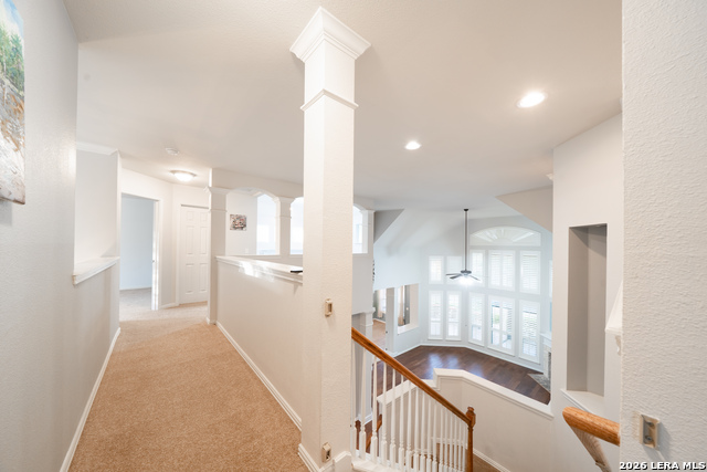 Image 25 of 49 For 13034 Wild Heart