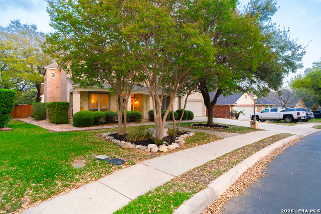 Image 3 of 49 For 13034 Wild Heart