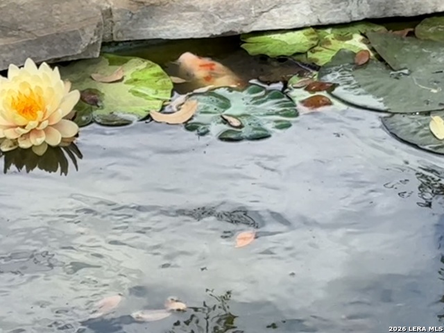 Image 41 of 49 For 13034 Wild Heart