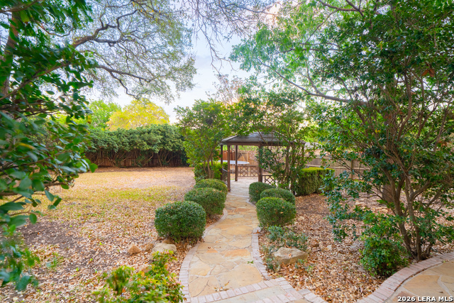 Image 46 of 49 For 13034 Wild Heart