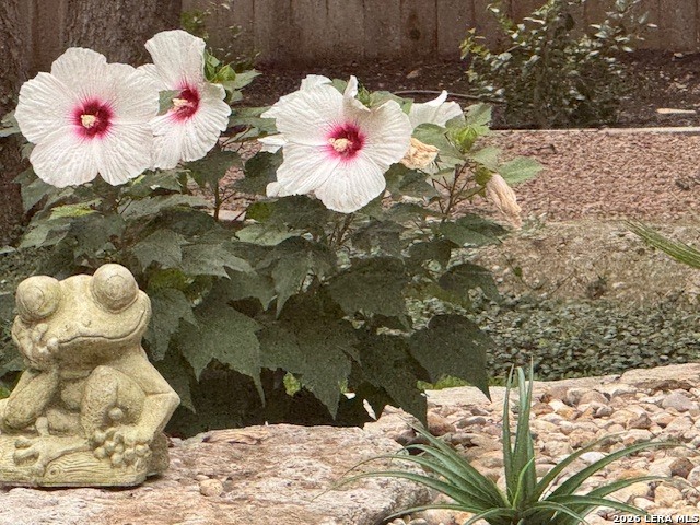 Image 23 of 30 For 7310 Steeple Dr