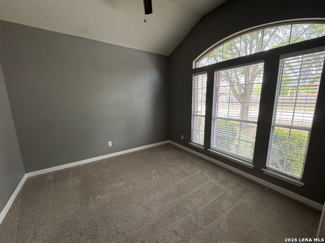 Image 21 of 24 For 24510 Wine Rose