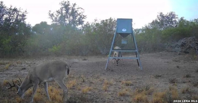 Image 11 of 13 For 000 Charco Rd