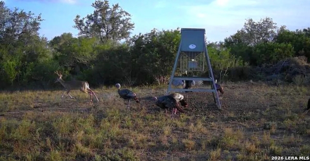 Image 13 of 13 For 000 Charco Rd