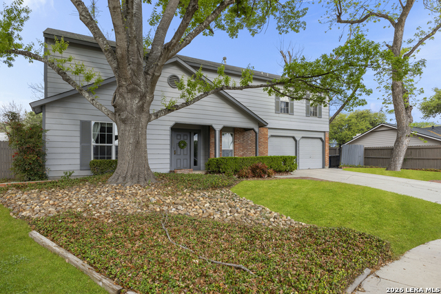 Image 43 of 46 For 13207 De La Vista