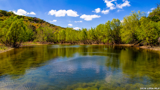 Listing photo id 10 for 150 Coker Hollow