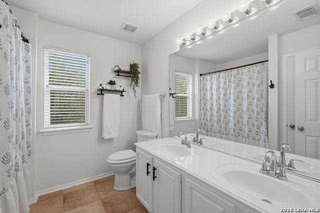 Image 16 of 33 For 10611 Spirit Horse