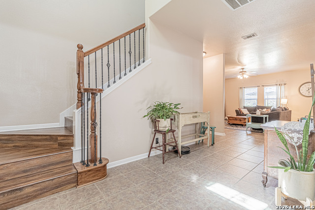 Image 6 of 65 For 8223 Sabinoso