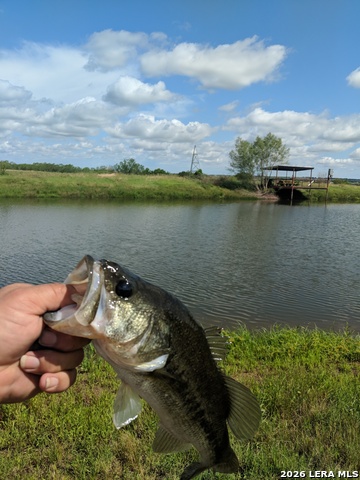 Image 32 of 36 For 900 Graytown Road N