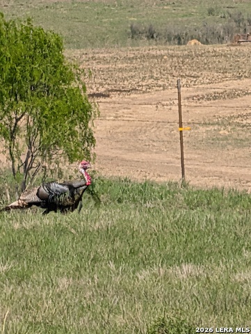 Image 33 of 36 For 900 Graytown Road N