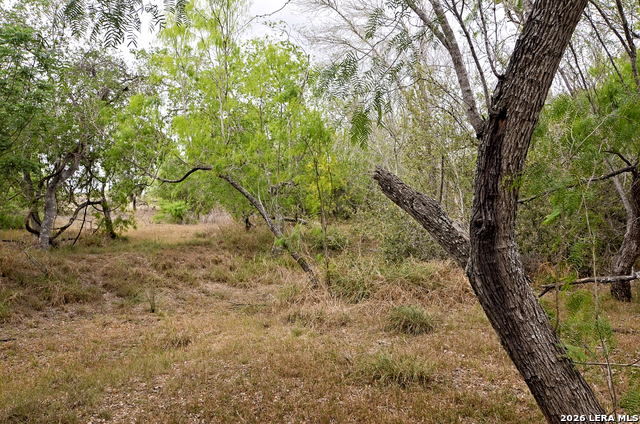 Image 11 of 24 For 101 Alfredo  