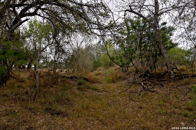 Image 12 of 24 For 101 Alfredo  