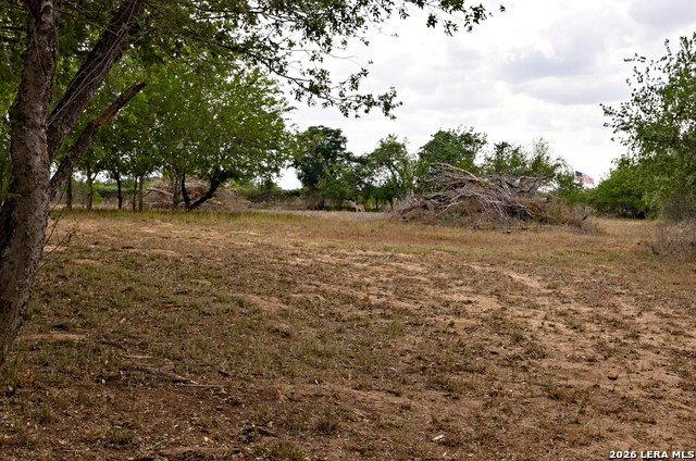 Image 13 of 24 For 101 Alfredo  