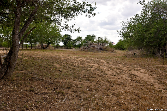 Image 14 of 24 For 101 Alfredo  