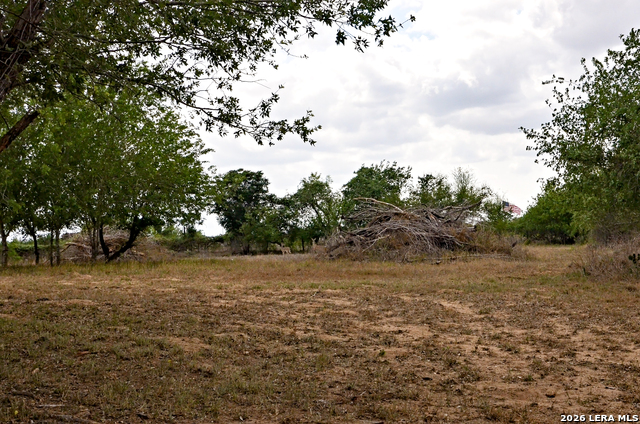 Image 15 of 24 For 101 Alfredo  