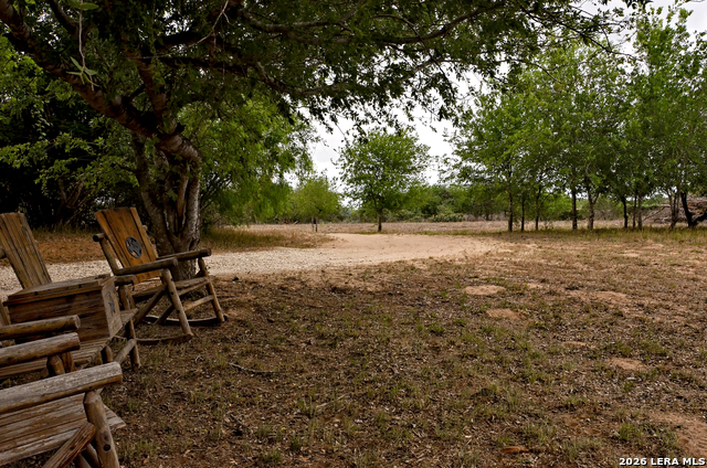 Image 16 of 24 For 101 Alfredo  